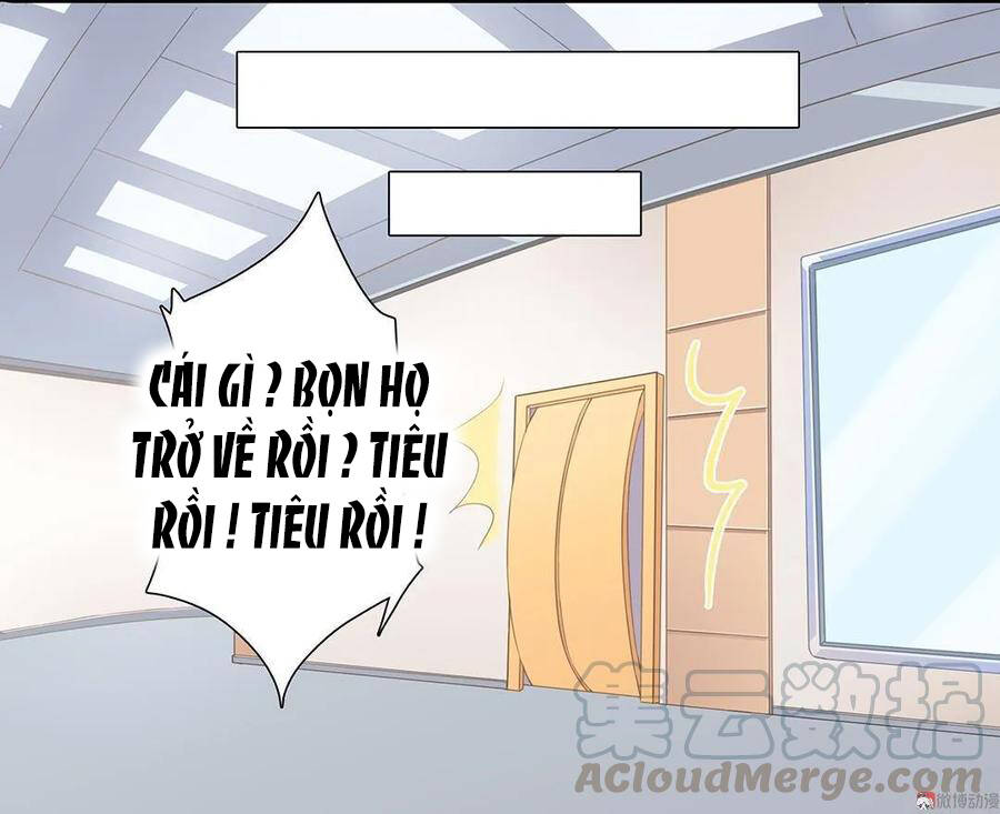 Tổng Tài! Đừng Trả Hàng Nha! Chap 76 - Next Chap 77