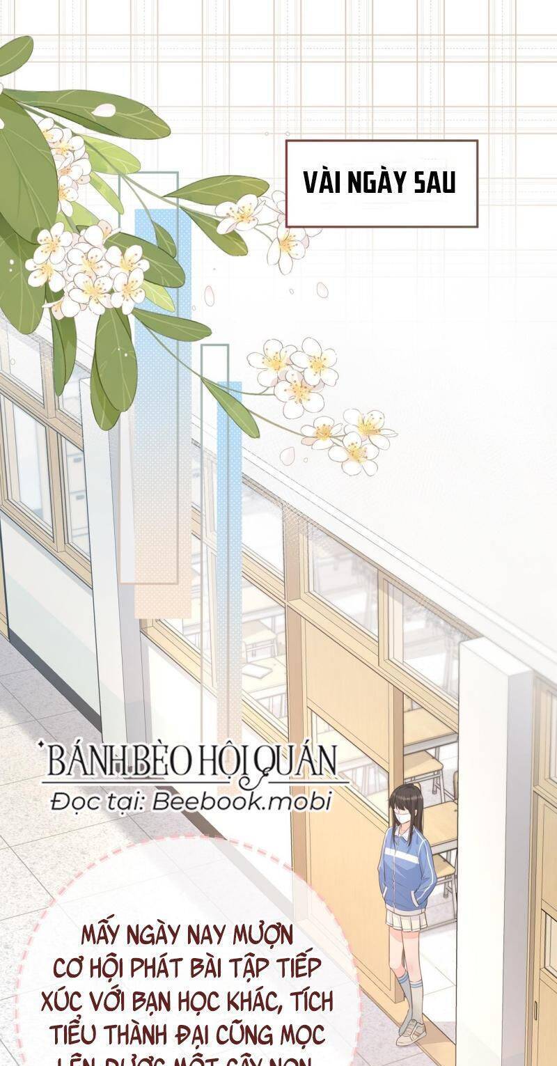 Tổng Tài Đuổi Vợ Lại Khóc Lóc Cầu Xin Vợ Quay Lại Chap 14 - Next Chap 15