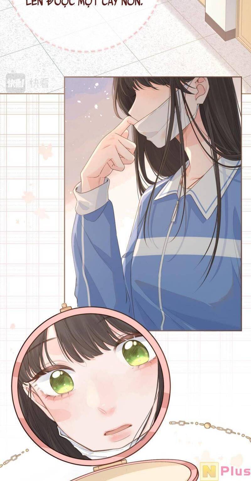 Tổng Tài Đuổi Vợ Lại Khóc Lóc Cầu Xin Vợ Quay Lại Chap 14 - Next Chap 15
