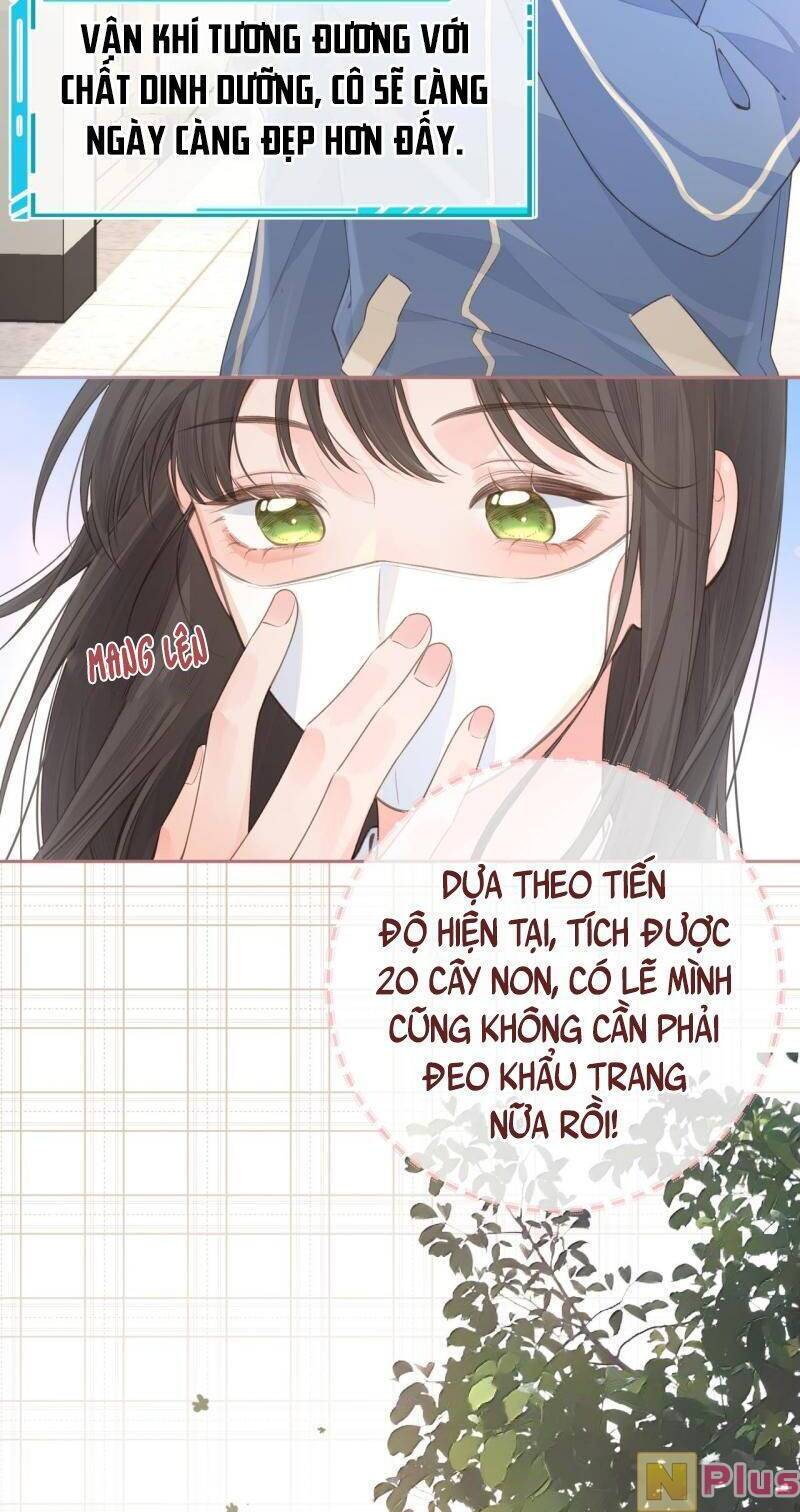 Tổng Tài Đuổi Vợ Lại Khóc Lóc Cầu Xin Vợ Quay Lại Chap 14 - Next Chap 15