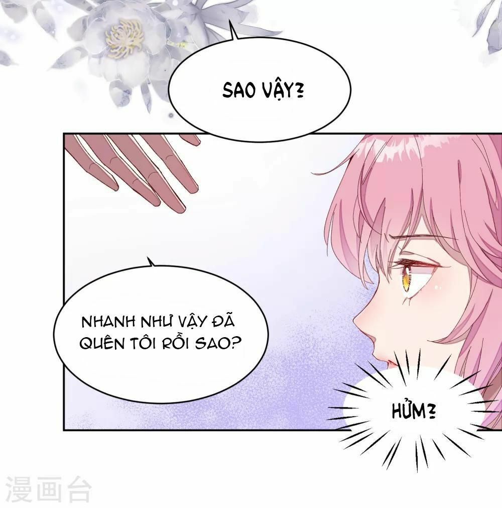 Tổng Tài Thịnh Sủng Tiền Thê Chap 1 - Next Chap 2
