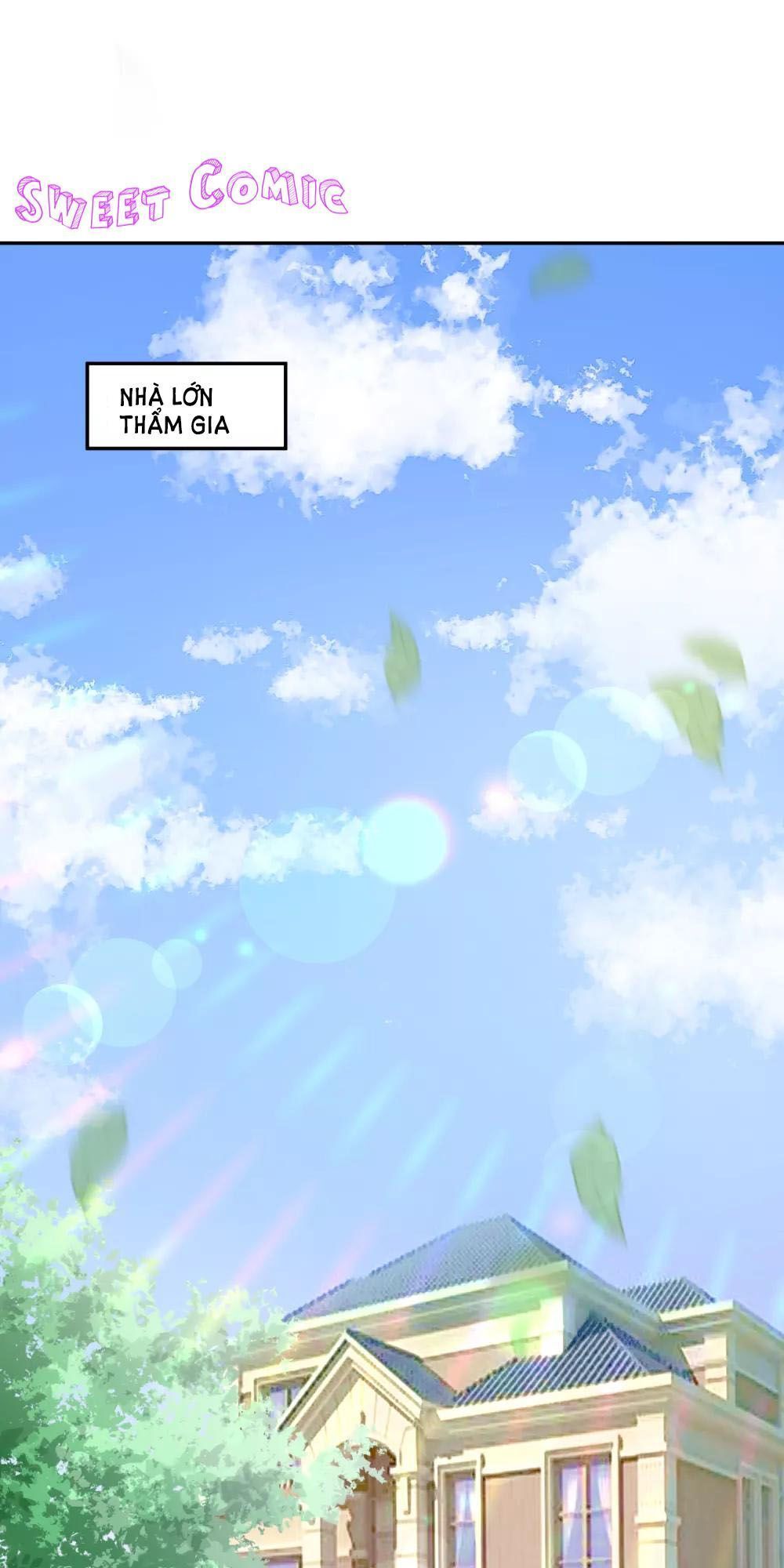 Tổng Tài Thịnh Sủng Tiền Thê Chap 11 - Next Chap 12