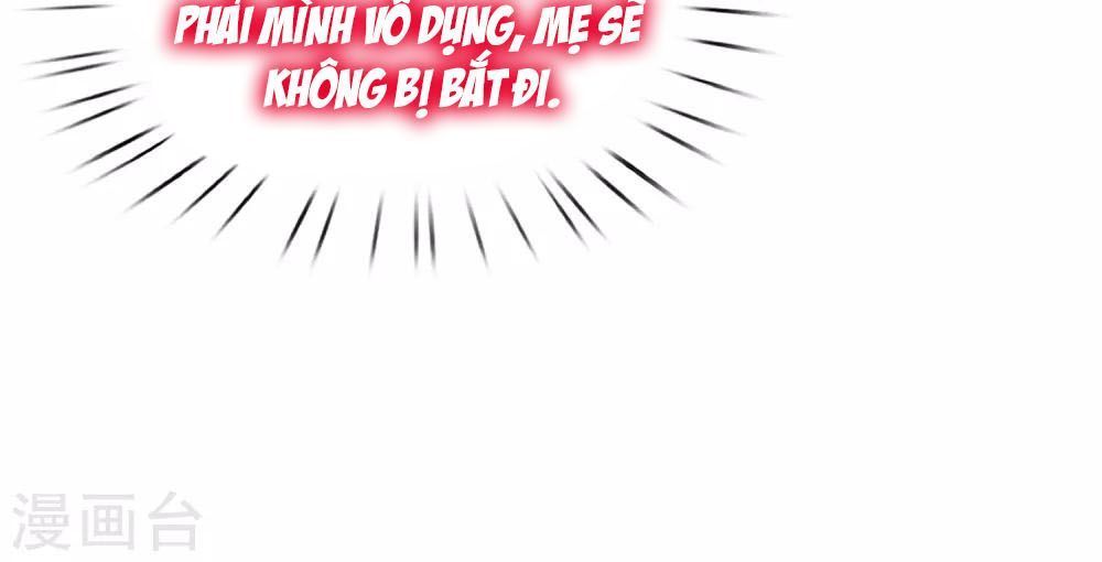 Tổng Tài Thịnh Sủng Tiền Thê Chap 135 - Next Chap 136