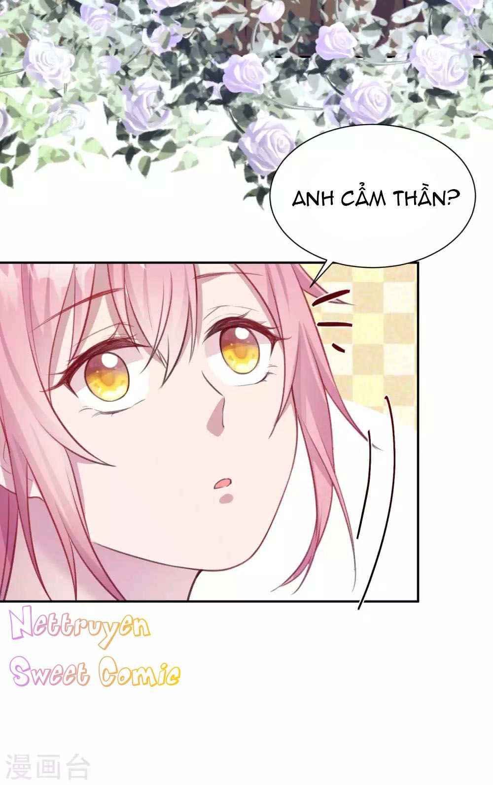 Tổng Tài Thịnh Sủng Tiền Thê Chap 16 - Next Chap 17