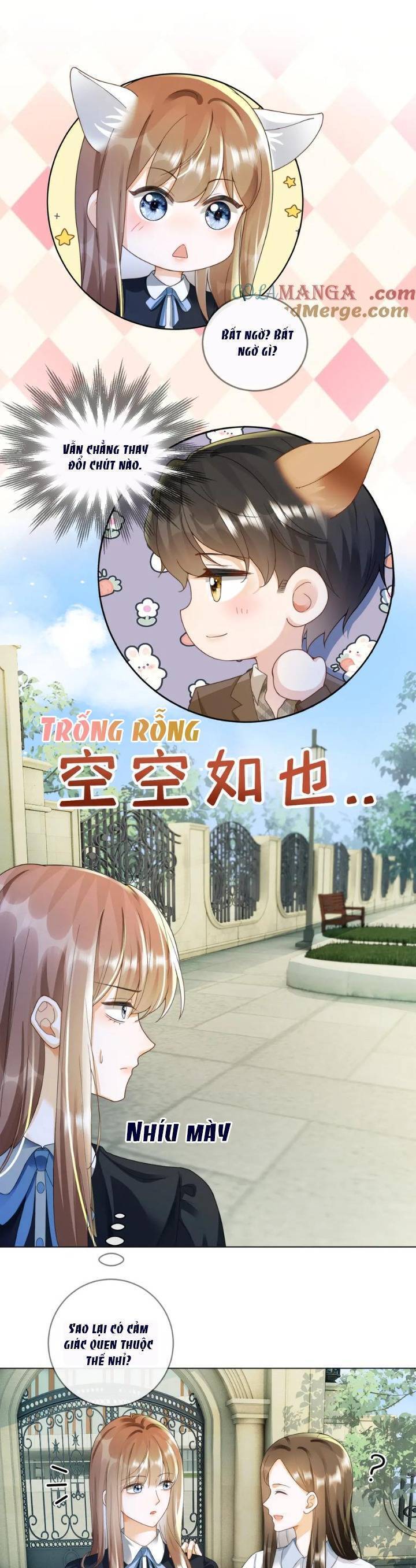 Tổng Tài Tỷ Phú Chỉ Sủng Cô Vợ Thế Thân Chap 74 - Next Chap 75