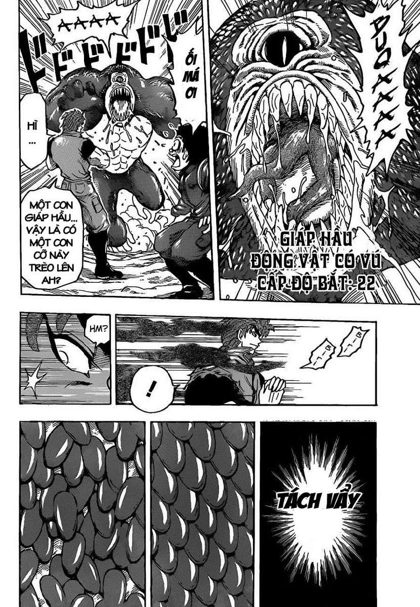Toriko - Thợ Săn Ẩm Thực Chap 115 - Next Chap 116