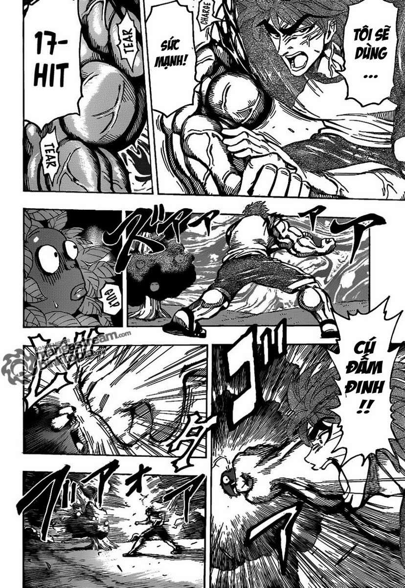 Toriko - Thợ Săn Ẩm Thực Chap 146 - Next Chap 147