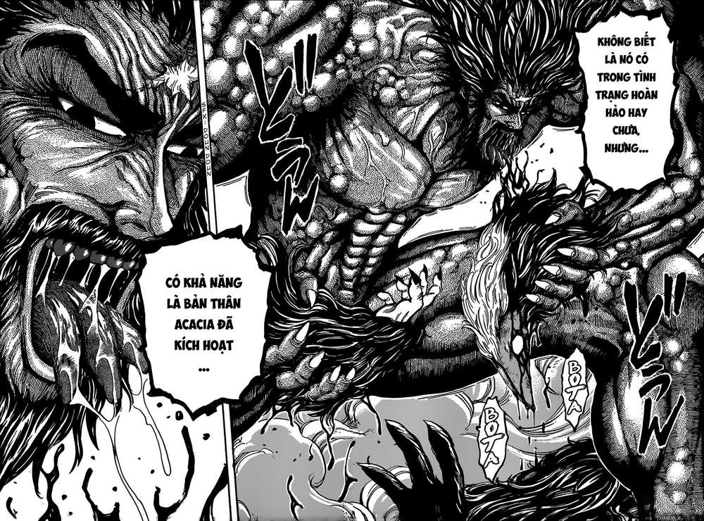 Toriko - Thợ Săn Ẩm Thực Chap 339 - Next Chap 340