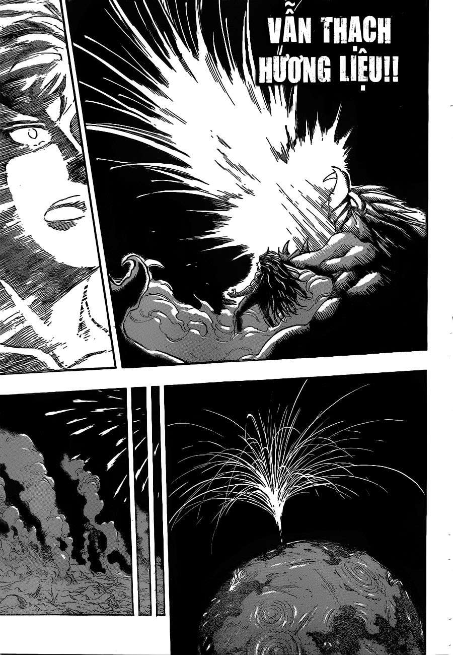 Toriko - Thợ Săn Ẩm Thực Chap 394 - Next Chap 395