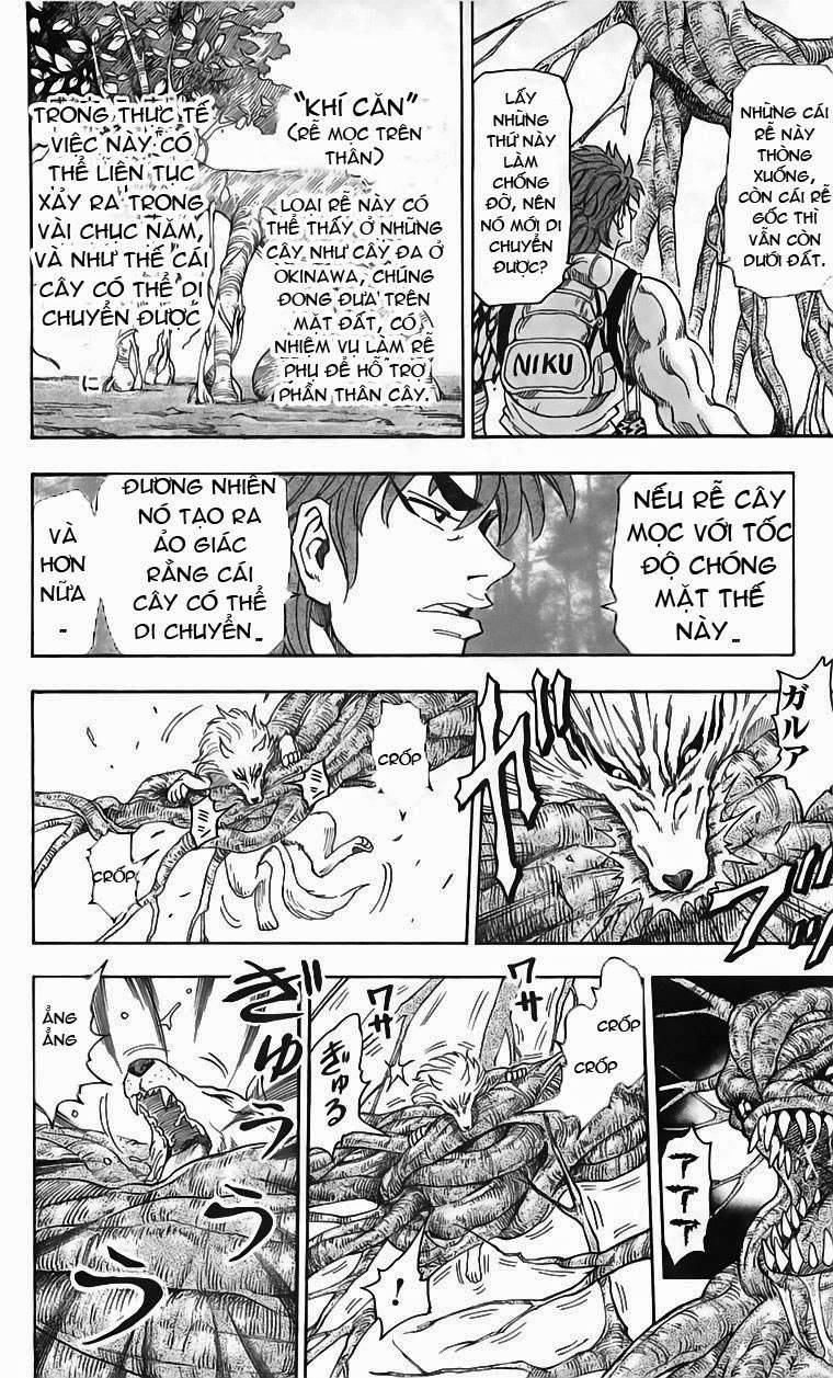 Toriko - Thợ Săn Ẩm Thực Chap 57 - Next Chap 58