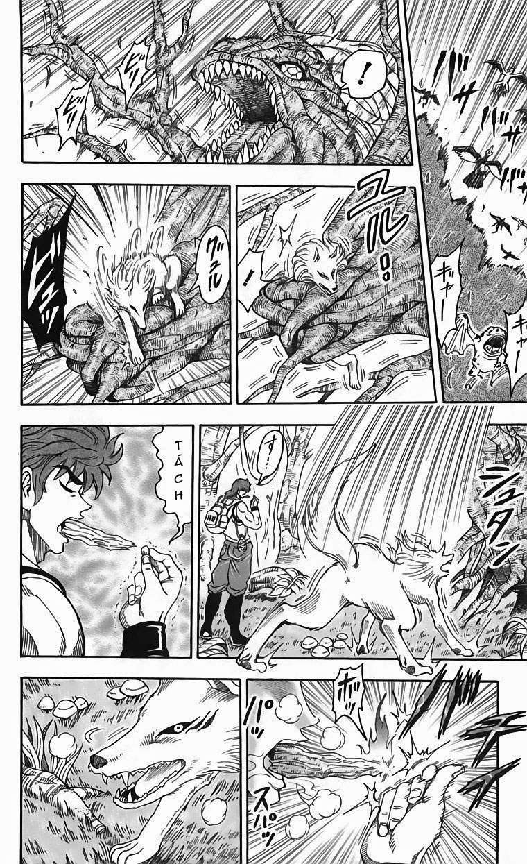 Toriko - Thợ Săn Ẩm Thực Chap 57 - Next Chap 58