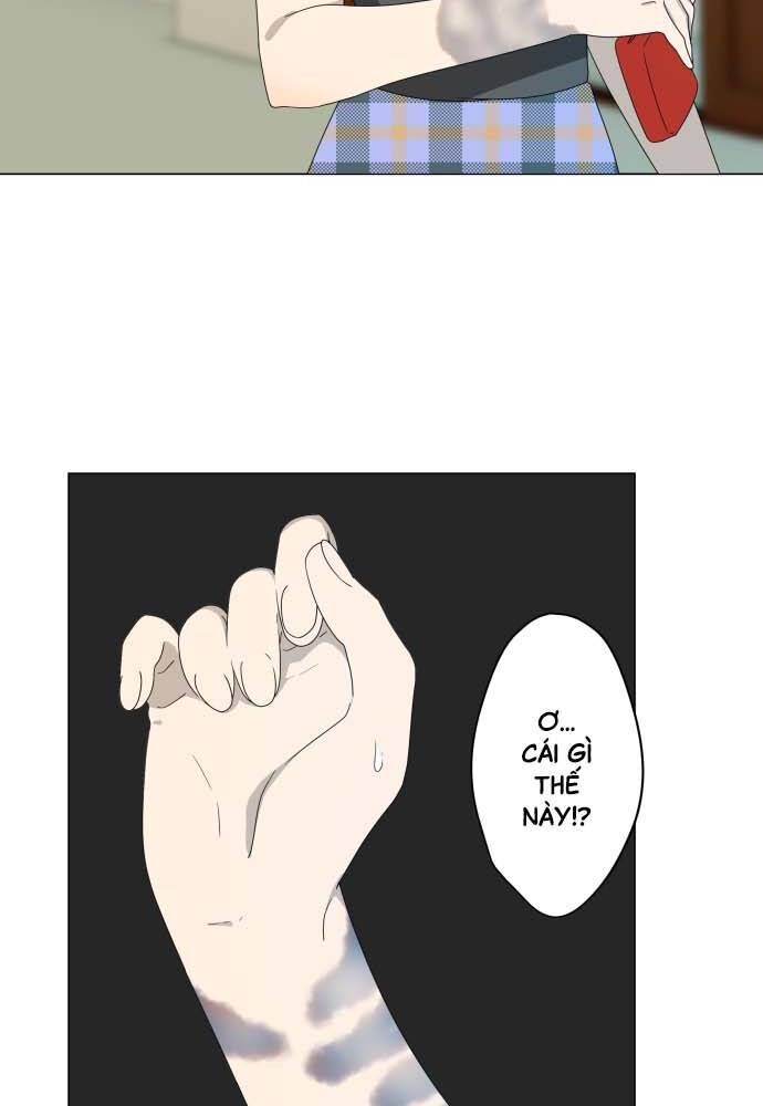 Trái Tim Của Luce Chap 13 - Next Chap 14