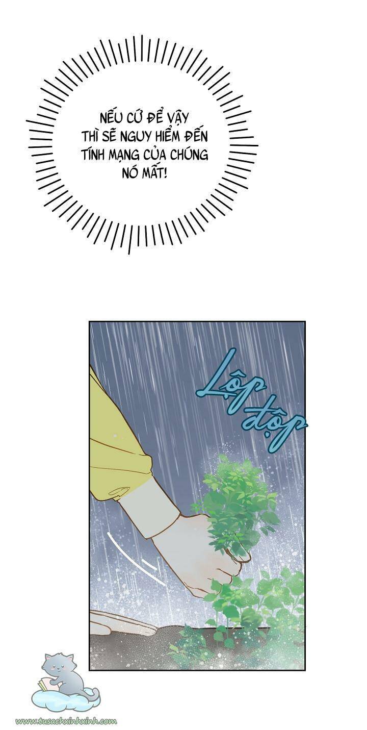 Trang Trại Hạt Dẻ Gần Cung Điện Hoàng Gia Chap 18 - Next Chap 19