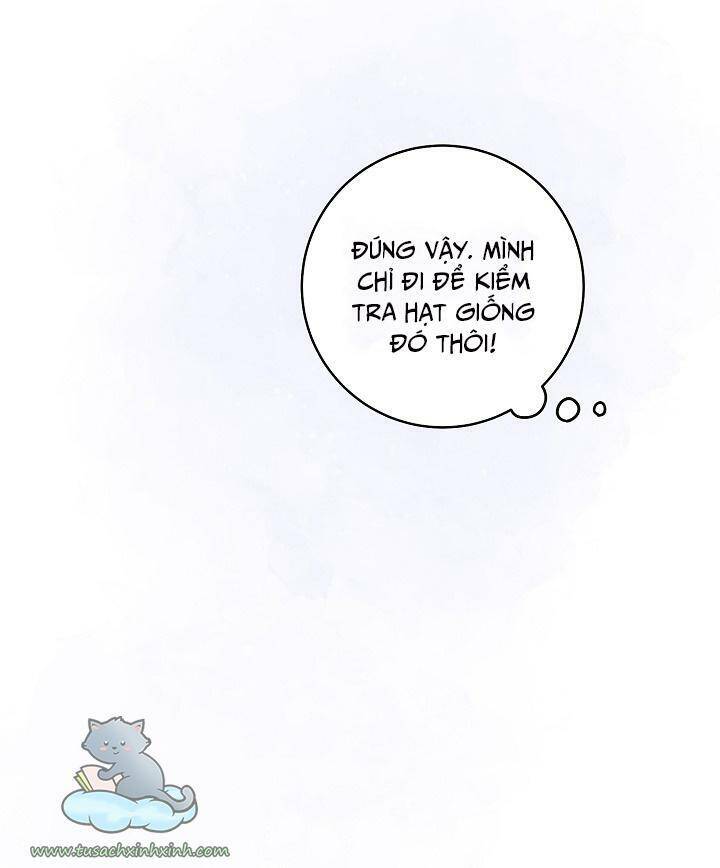 Trang Trại Hạt Dẻ Gần Cung Điện Hoàng Gia Chap 25 - Next Chap 26