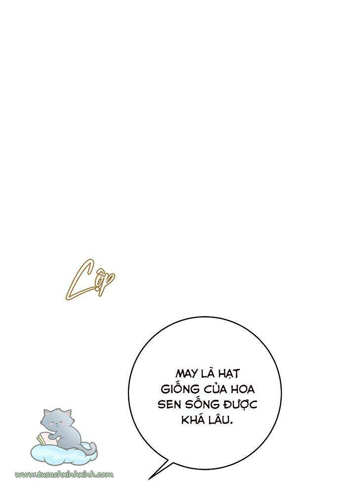 Trang Trại Hạt Dẻ Gần Cung Điện Hoàng Gia Chap 25 - Next Chap 26