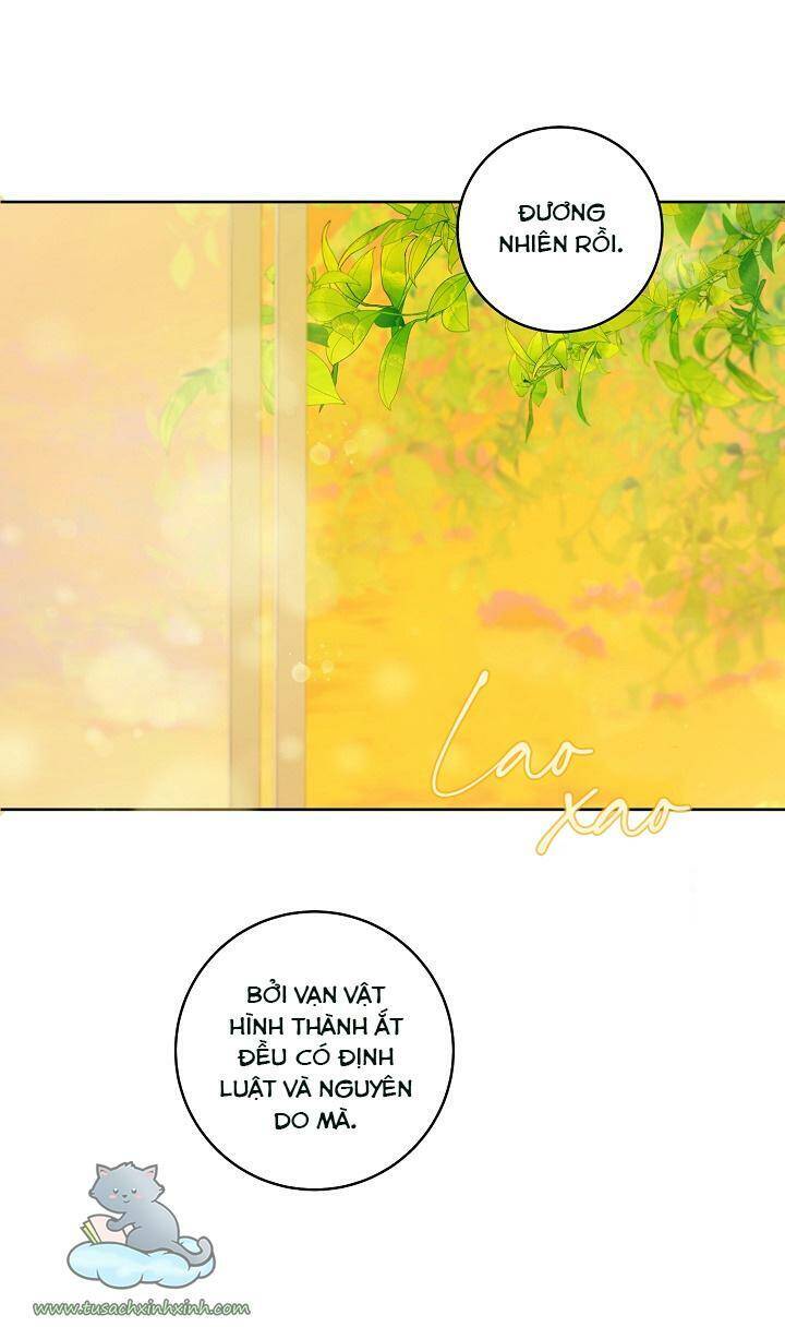 Trang Trại Hạt Dẻ Gần Cung Điện Hoàng Gia Chap 25 - Next Chap 26