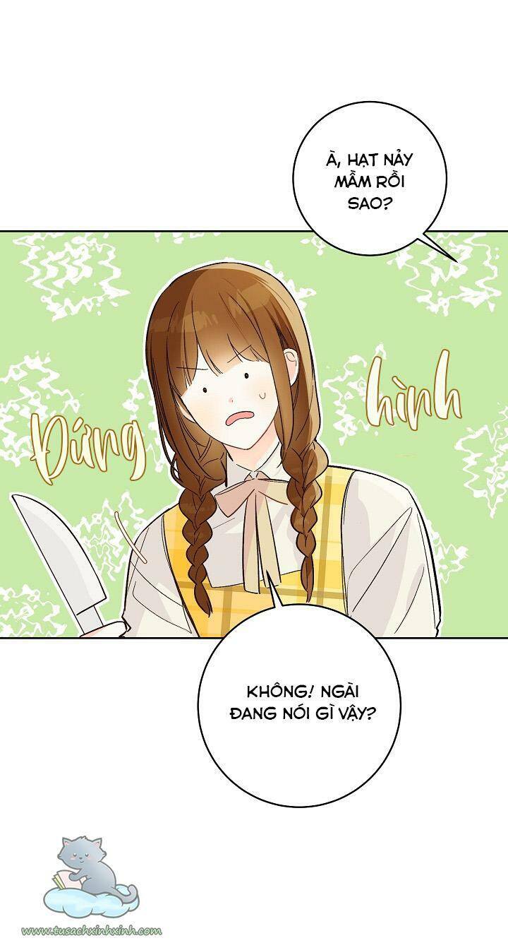 Trang Trại Hạt Dẻ Gần Cung Điện Hoàng Gia Chap 25 - Next Chap 26
