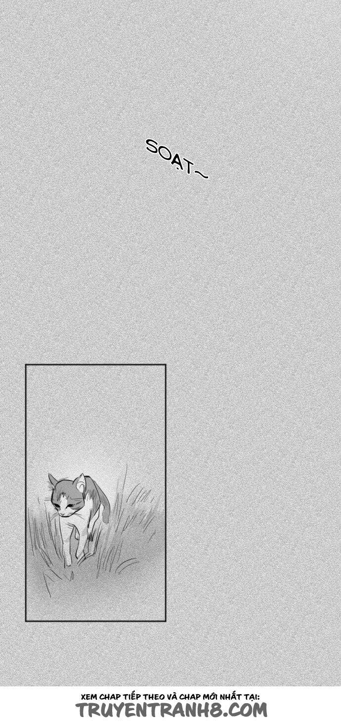 Transparent Cohabitation Chap 24 - Next Chap 25