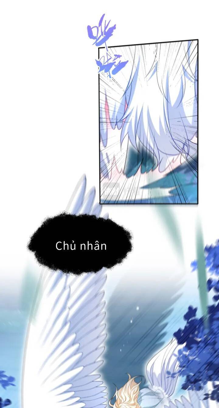 Trở Thành Đòan Sủng Về Sau, Ta Đại Sát Tứ Phương Chap 3 - Next Chap 4