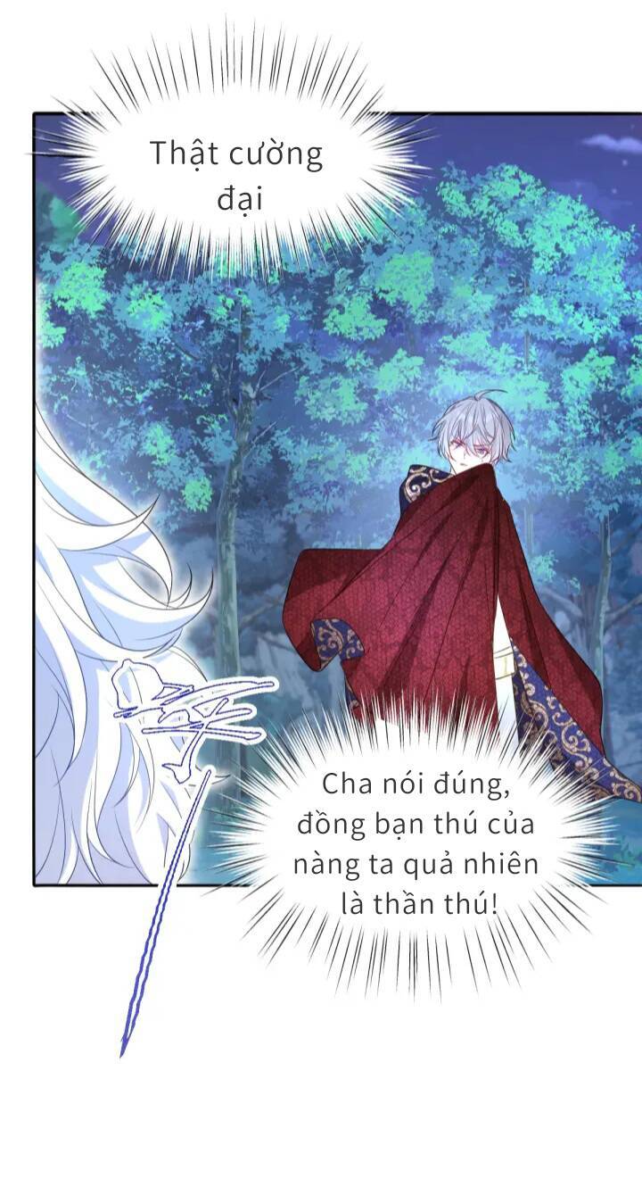 Trở Thành Đòan Sủng Về Sau, Ta Đại Sát Tứ Phương Chap 3 - Next Chap 4