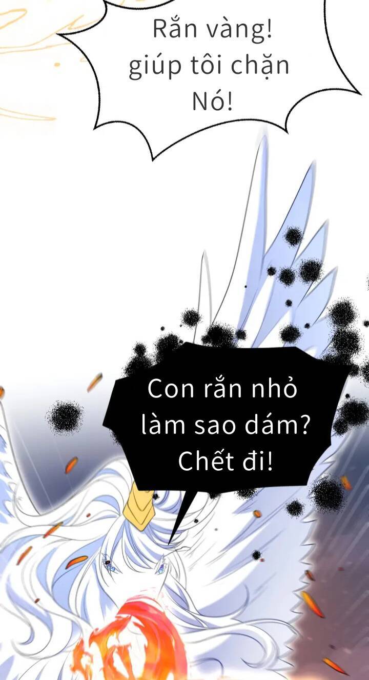 Trở Thành Đòan Sủng Về Sau, Ta Đại Sát Tứ Phương Chap 3 - Next Chap 4