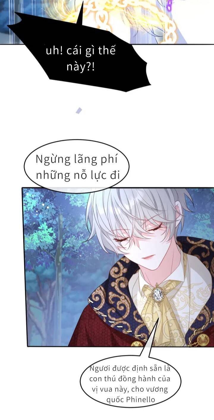 Trở Thành Đòan Sủng Về Sau, Ta Đại Sát Tứ Phương Chap 3 - Next Chap 4