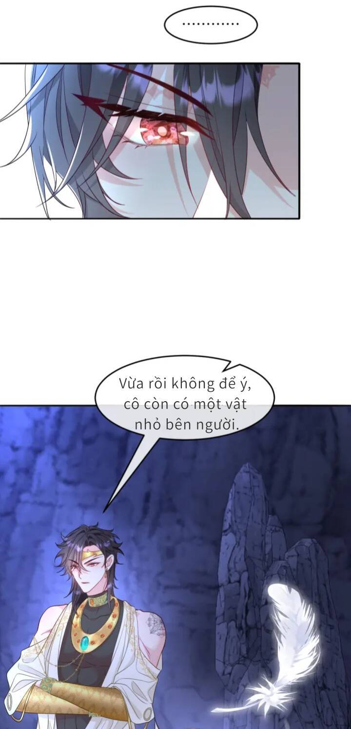 Trở Thành Đòan Sủng Về Sau, Ta Đại Sát Tứ Phương Chap 4 - Next Chap 5