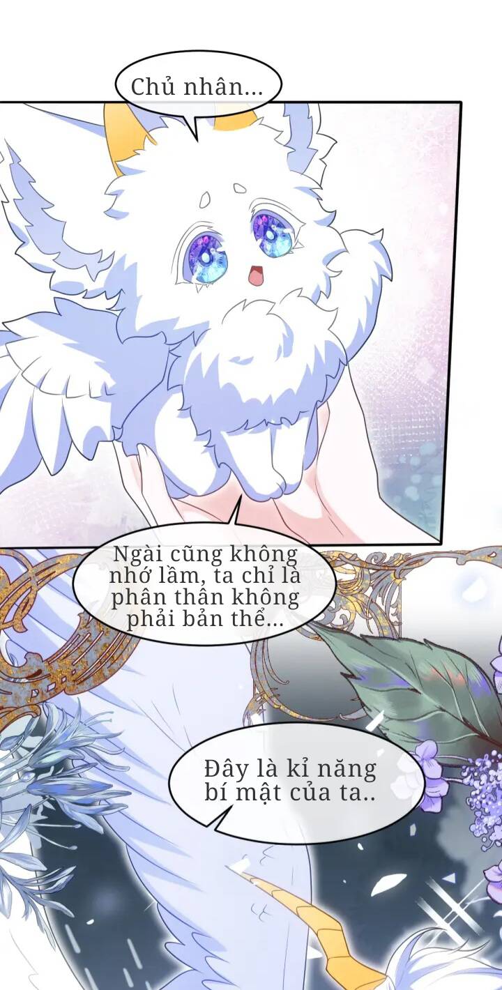 Trở Thành Đòan Sủng Về Sau, Ta Đại Sát Tứ Phương Chap 5 - Next Chap 6
