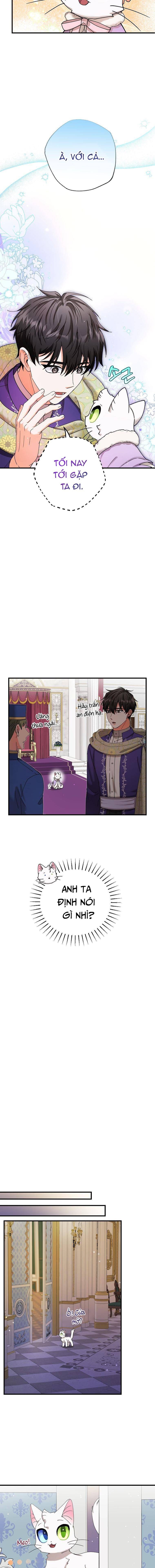 Trở Thành Miêu Nữ Của Hoàng Đế Chap 17 - Next Chap 18
