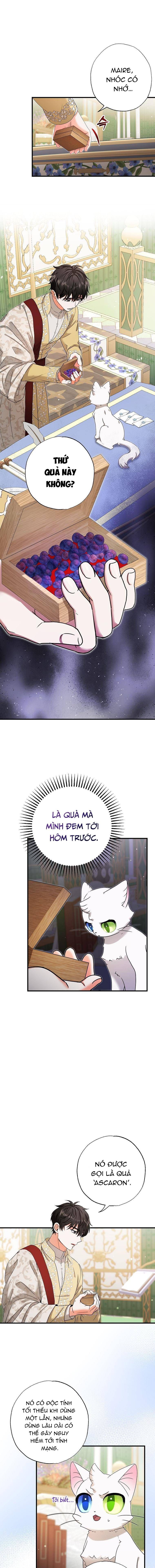 Trở Thành Miêu Nữ Của Hoàng Đế Chap 17 - Next Chap 18