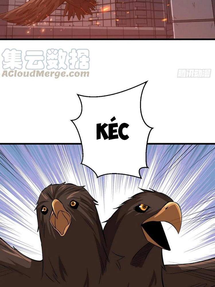 Trở Về Làm Đại Lão Thời Mạt Thế Chap 162 - Next Chap 163