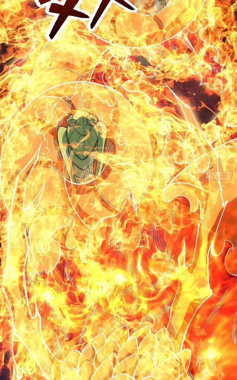Trở Về Làm Đại Lão Thời Mạt Thế Chap 255 - Next Chap 256