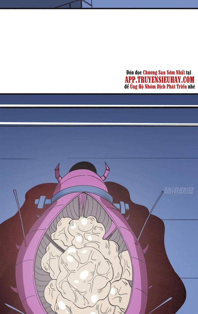 Trở Về Làm Đại Lão Thời Mạt Thế Chap 258 - Next Chap 259