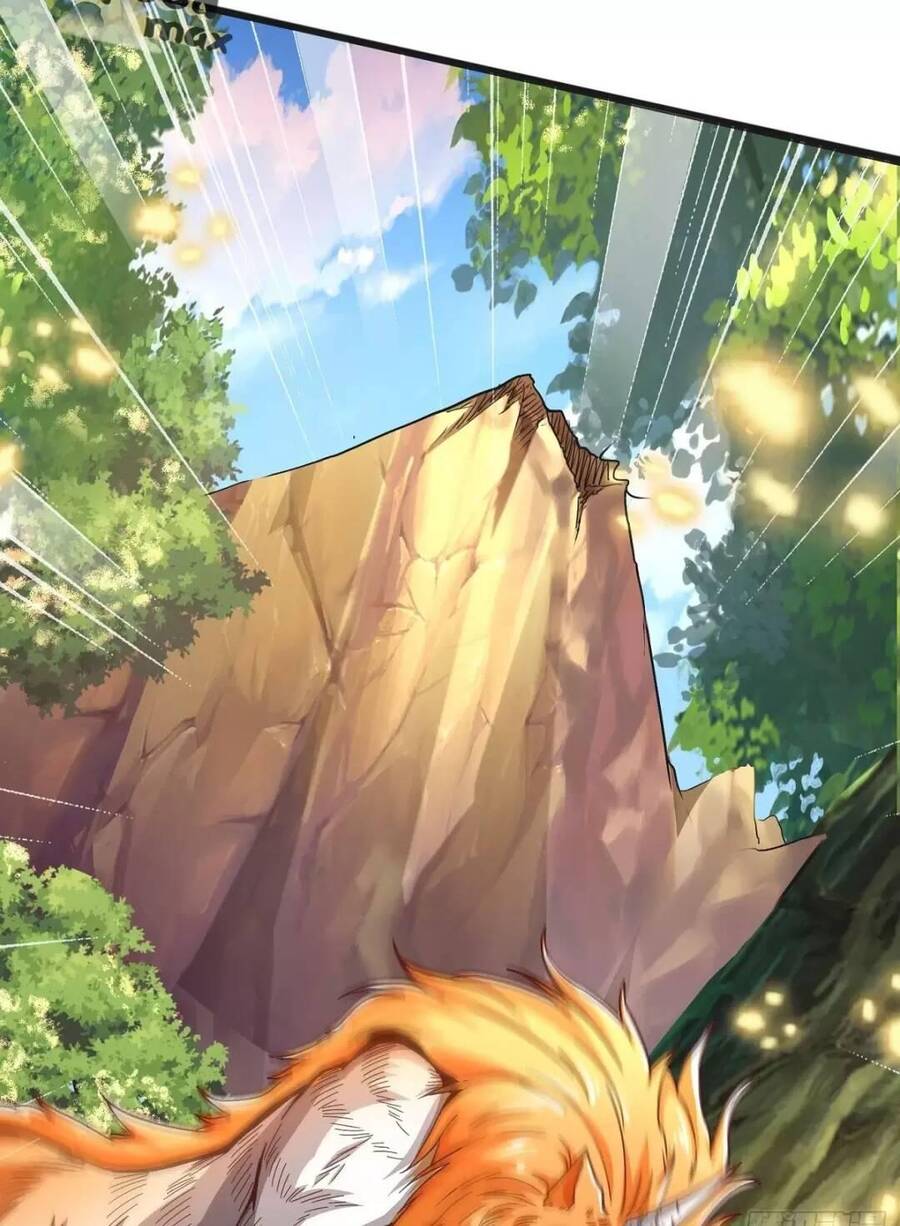 Trời Má ! Ta Chuyển Sinh Thành Rùa ! Chap 1 - Next Chap 2