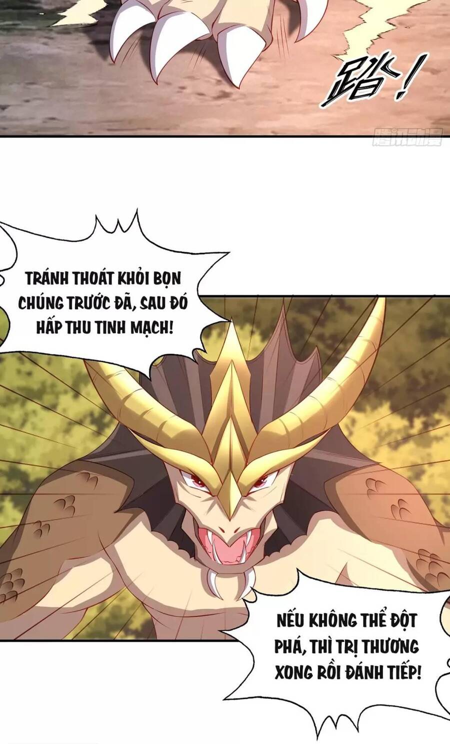 Trời Má ! Ta Chuyển Sinh Thành Rùa ! Chap 10 - Next Chap 11