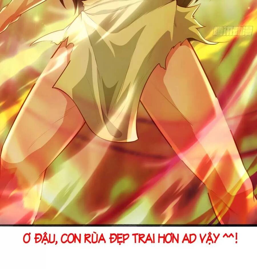 Trời Má ! Ta Chuyển Sinh Thành Rùa ! Chap 13 - Next Chap 14