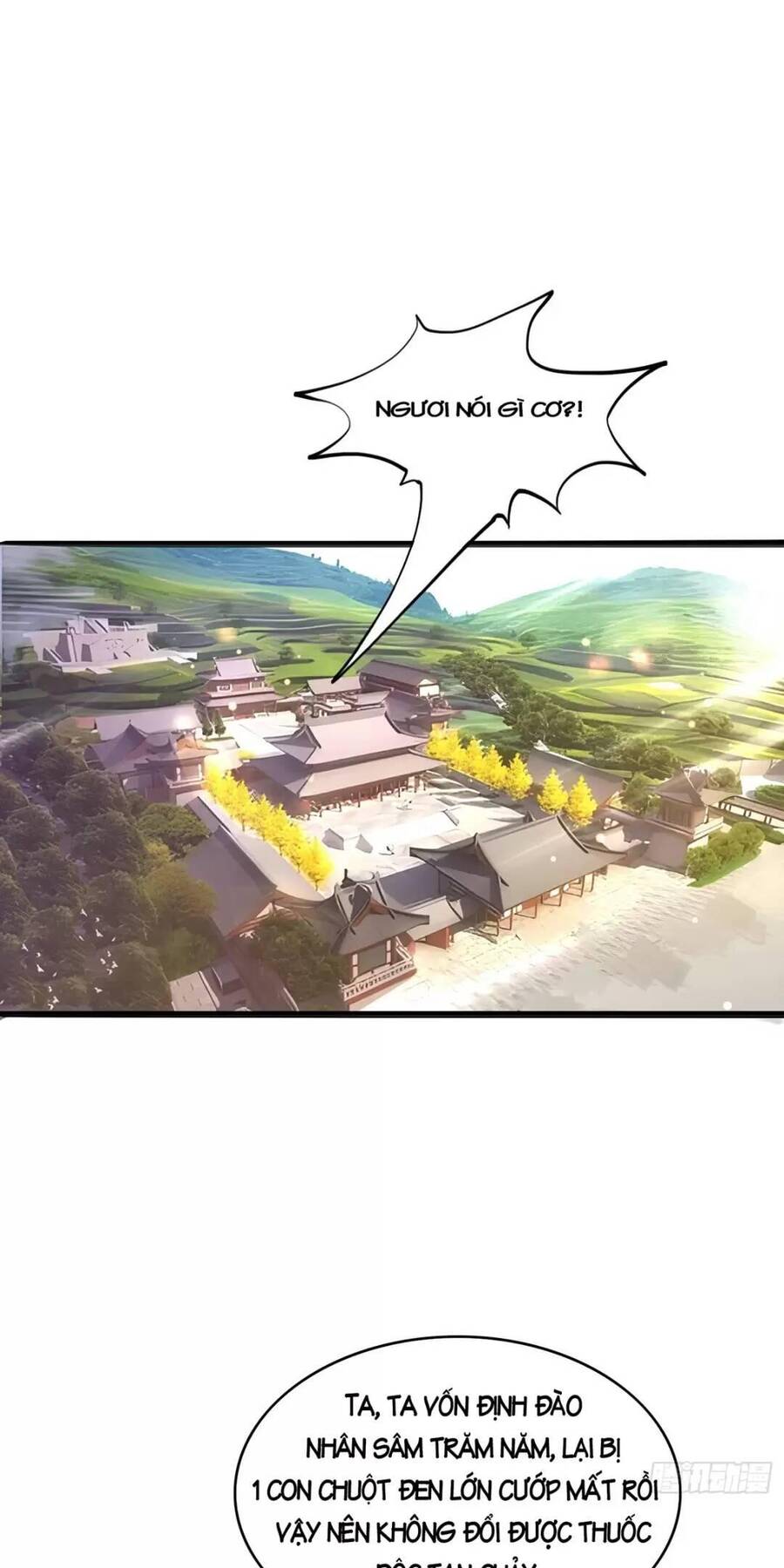 Trời Má ! Ta Chuyển Sinh Thành Rùa ! Chap 2 - Next Chap 3