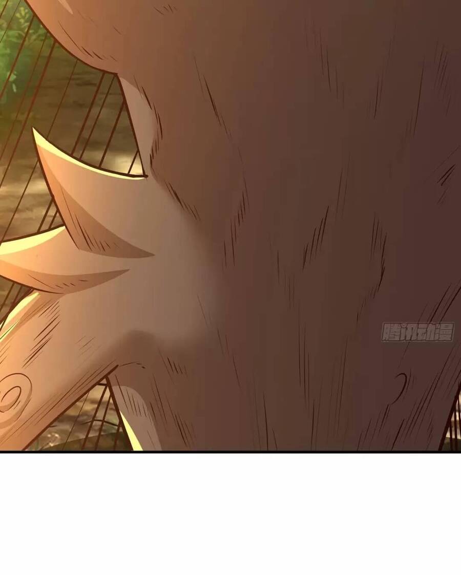 Trời Má ! Ta Chuyển Sinh Thành Rùa ! Chap 21 - Next Chap 22