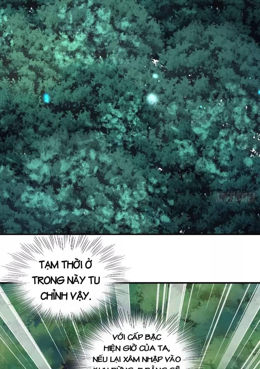 Trời Má ! Ta Chuyển Sinh Thành Rùa ! Chap 3 - Next Chap 4