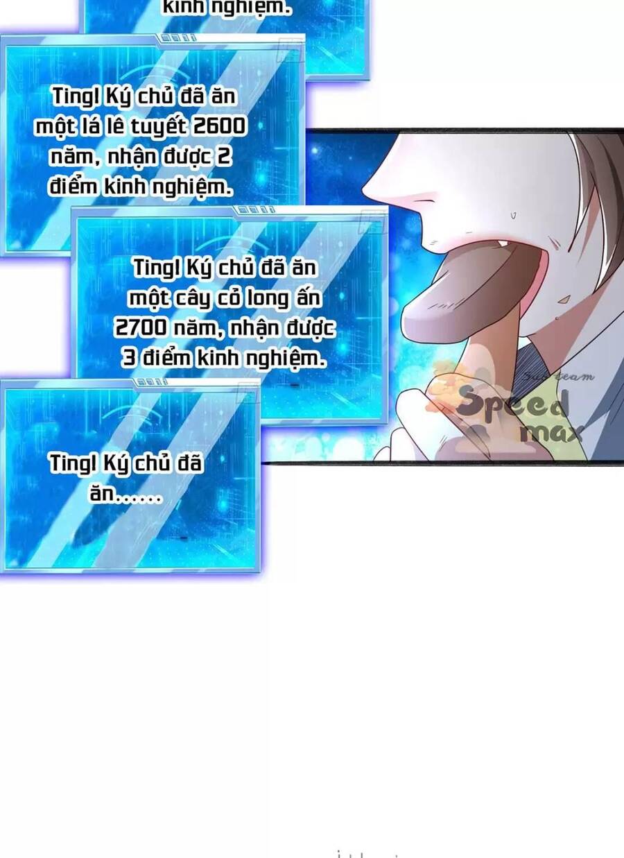 Trời Má ! Ta Chuyển Sinh Thành Rùa ! Chap 31 - Next Chap 32
