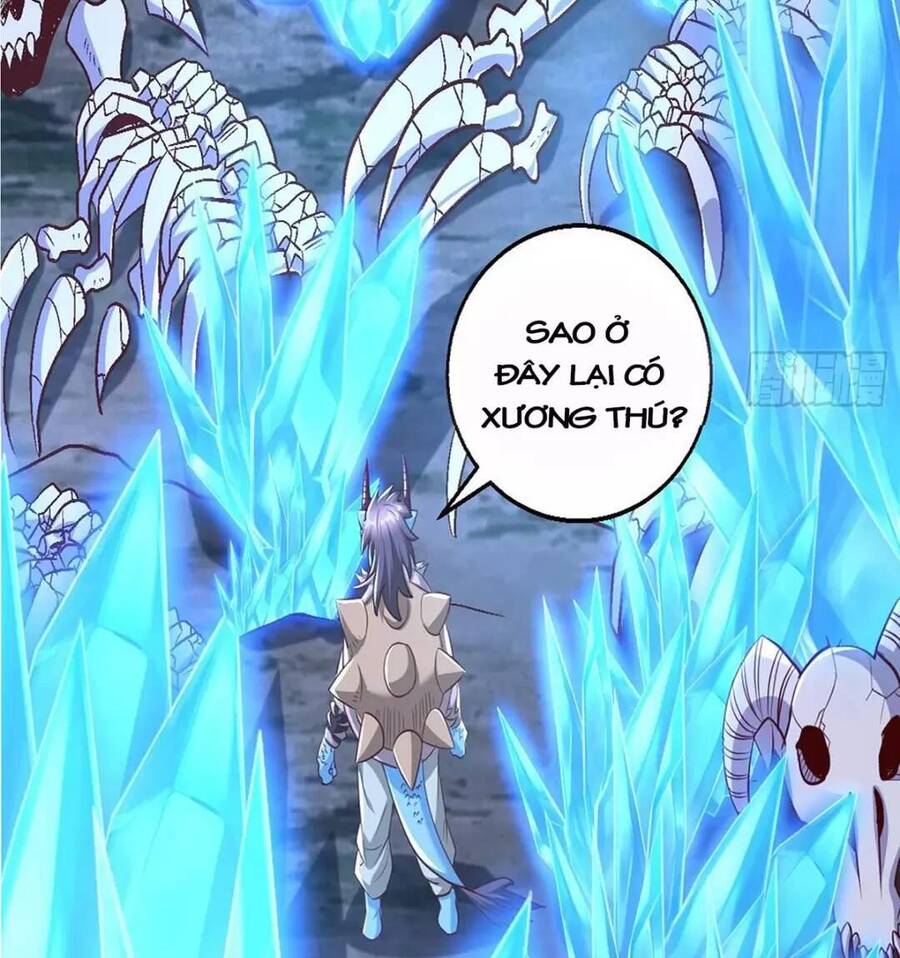 Trời Má ! Ta Chuyển Sinh Thành Rùa ! Chap 42 - Next Chap 43