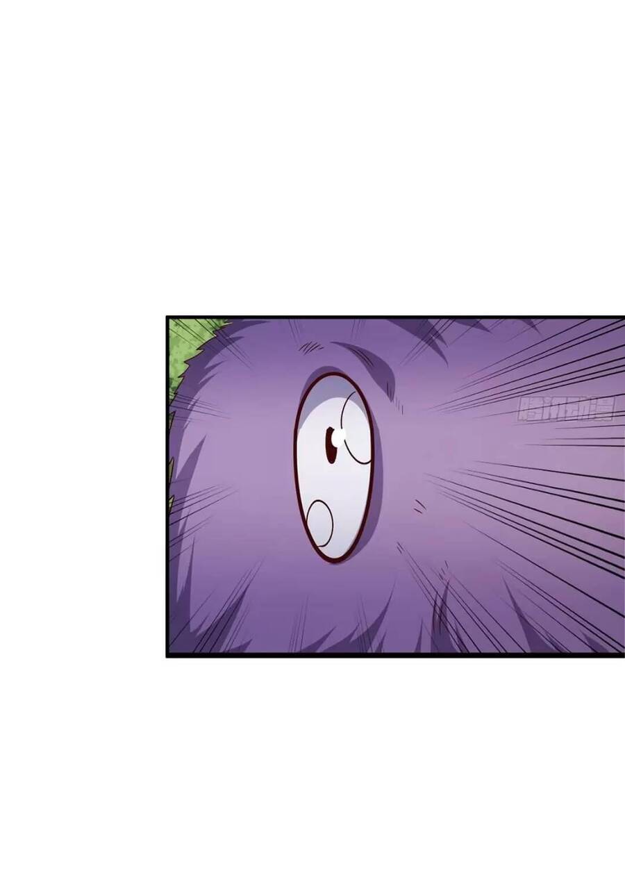 Trời Má ! Ta Chuyển Sinh Thành Rùa ! Chap 42 - Next Chap 43