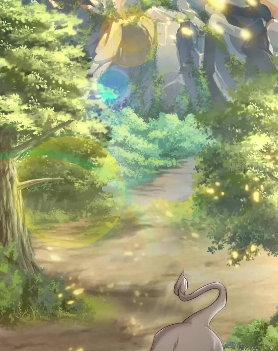 Trời Má ! Ta Chuyển Sinh Thành Rùa ! Chap 5 - Next Chap 6