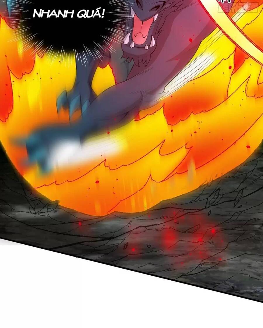 Trời Má ! Ta Chuyển Sinh Thành Rùa ! Chap 6 - Next Chap 7