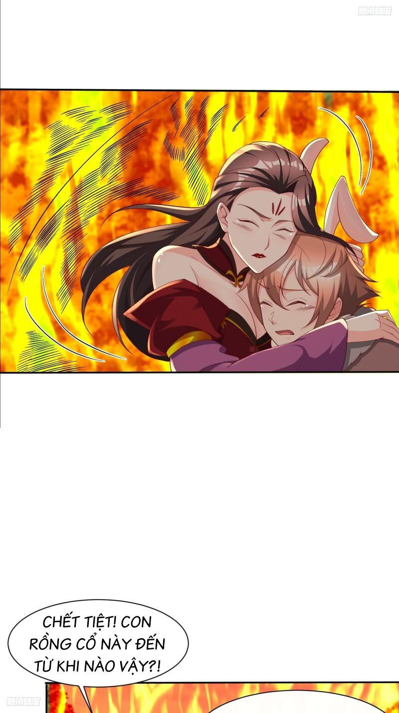 Trời Má ! Ta Chuyển Sinh Thành Rùa ! Chap 81 - Next Chap 82