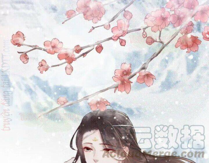 Trọng Sinh Bá Sủng Nhiếp Chính Vương Quá Mạnh Mẽ Chap 220 - Next Chap 221