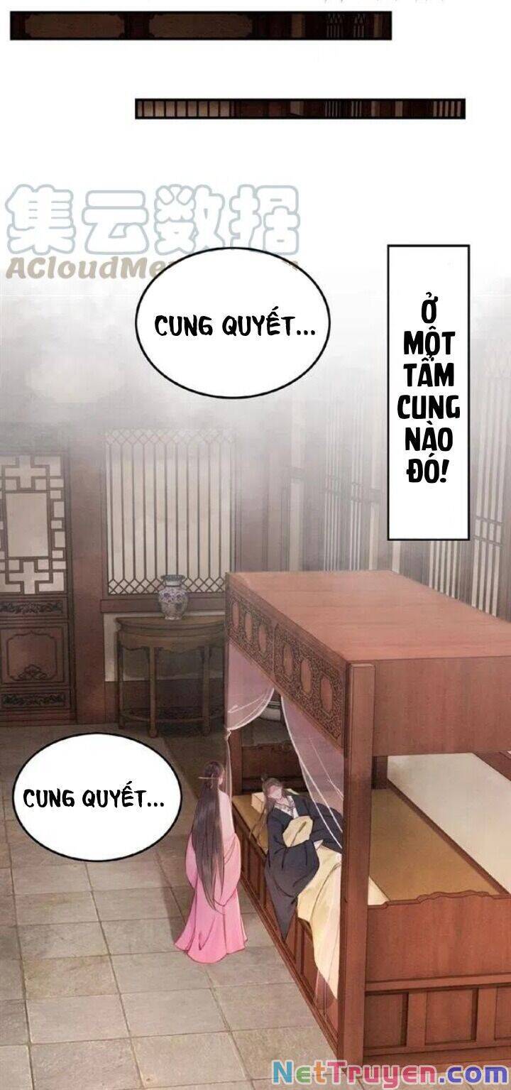 Trọng Sinh Bá Sủng Nhiếp Chính Vương Quá Mạnh Mẽ Chap 67 - Next Chap 68