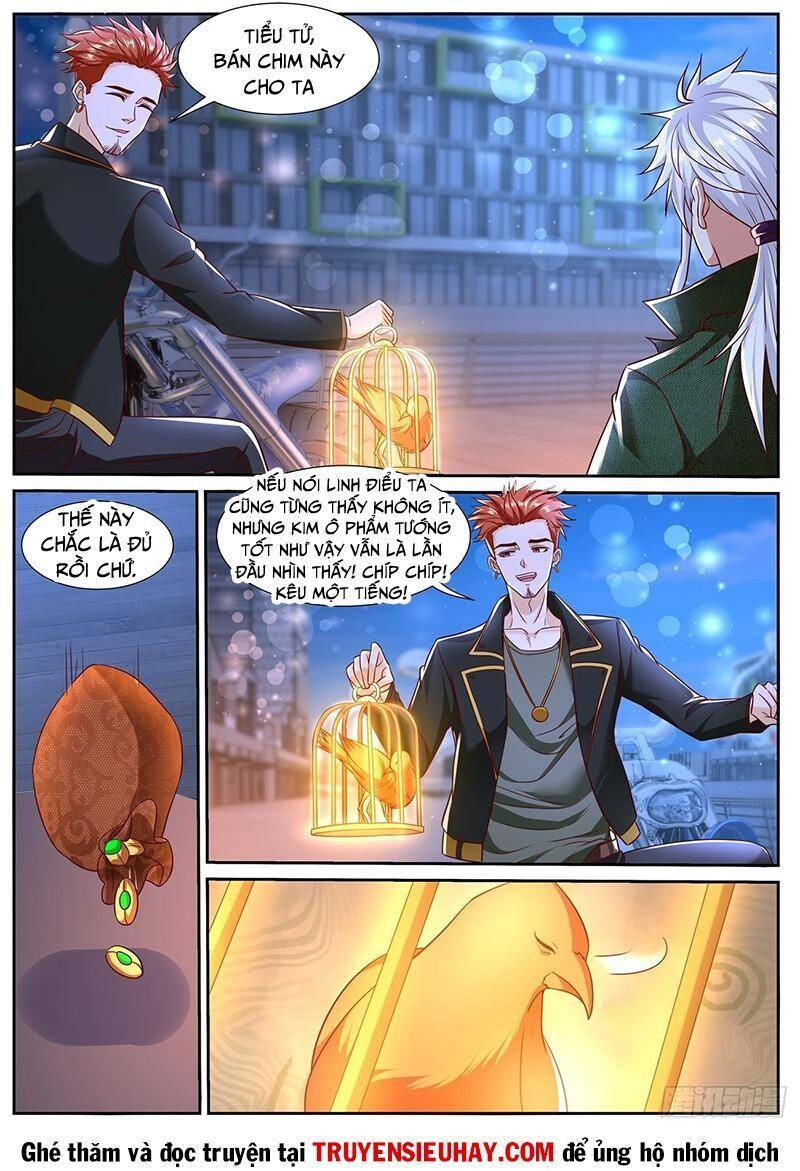 Trọng Sinh Đô Thị Tu Tiên Chap 781 - Next Chap 782