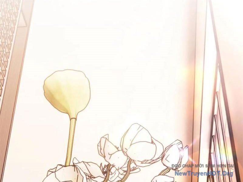 Trọng Sinh Không Làm Chạn Vương, Tôi Một Mình Nạp Game Thăng Cấp Chap 243 - Next Chap 244