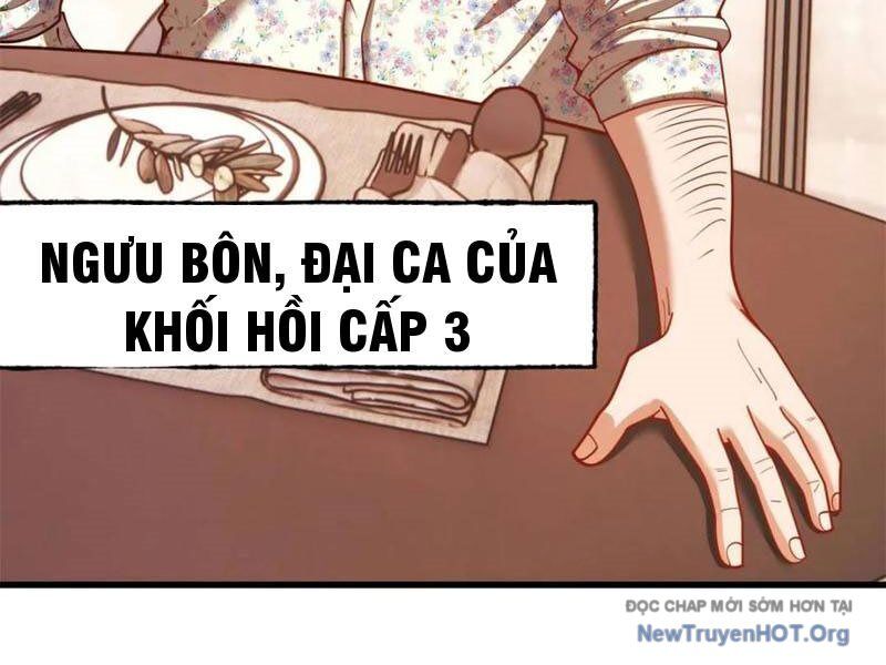Trọng Sinh Không Làm Chạn Vương, Tôi Một Mình Nạp Game Thăng Cấp Chap 243 - Next Chap 244